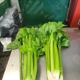 Biologische Selderij te Koop