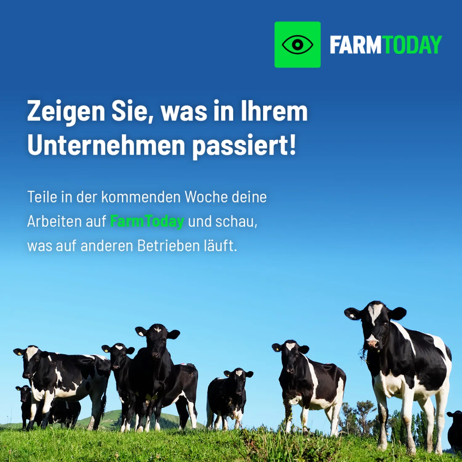 Teile Hof-Updates | Einblicke in die tägliche Arbeit