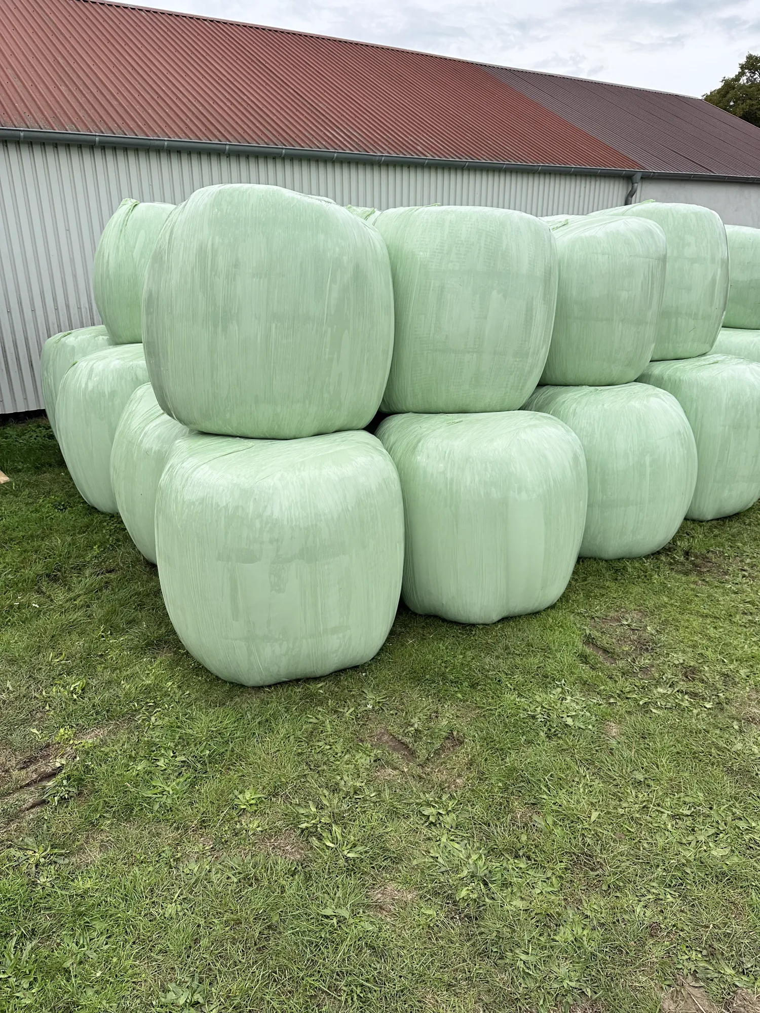 Luzerne Kleegras Silage Rundballen kaufen