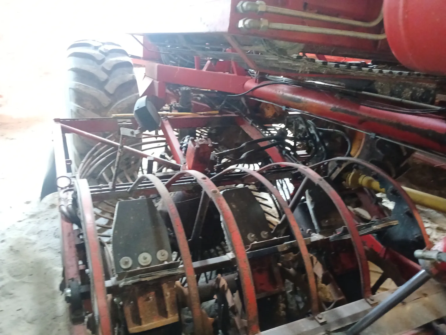 Cosechadora de remolacha Tim de 3 hileras en buen estado en venta