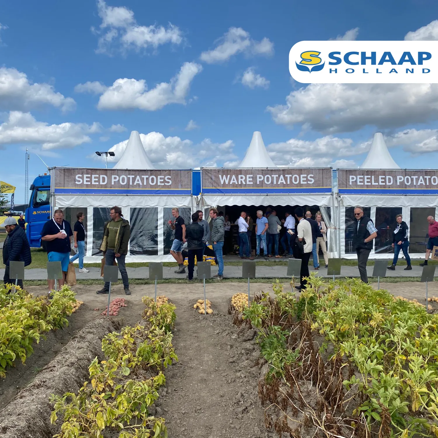Potato Europe Lelystad: Successful edition for Poldergoud!