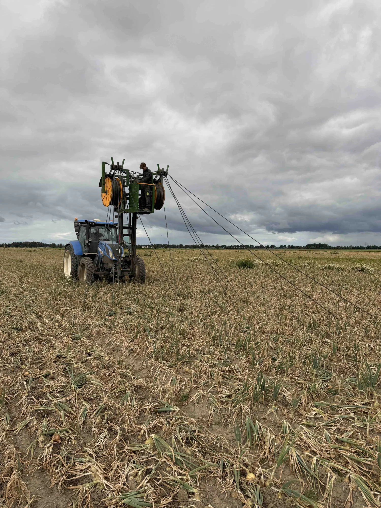 Wynajem zwijarki do węży kroplujących - Noordoostpolder