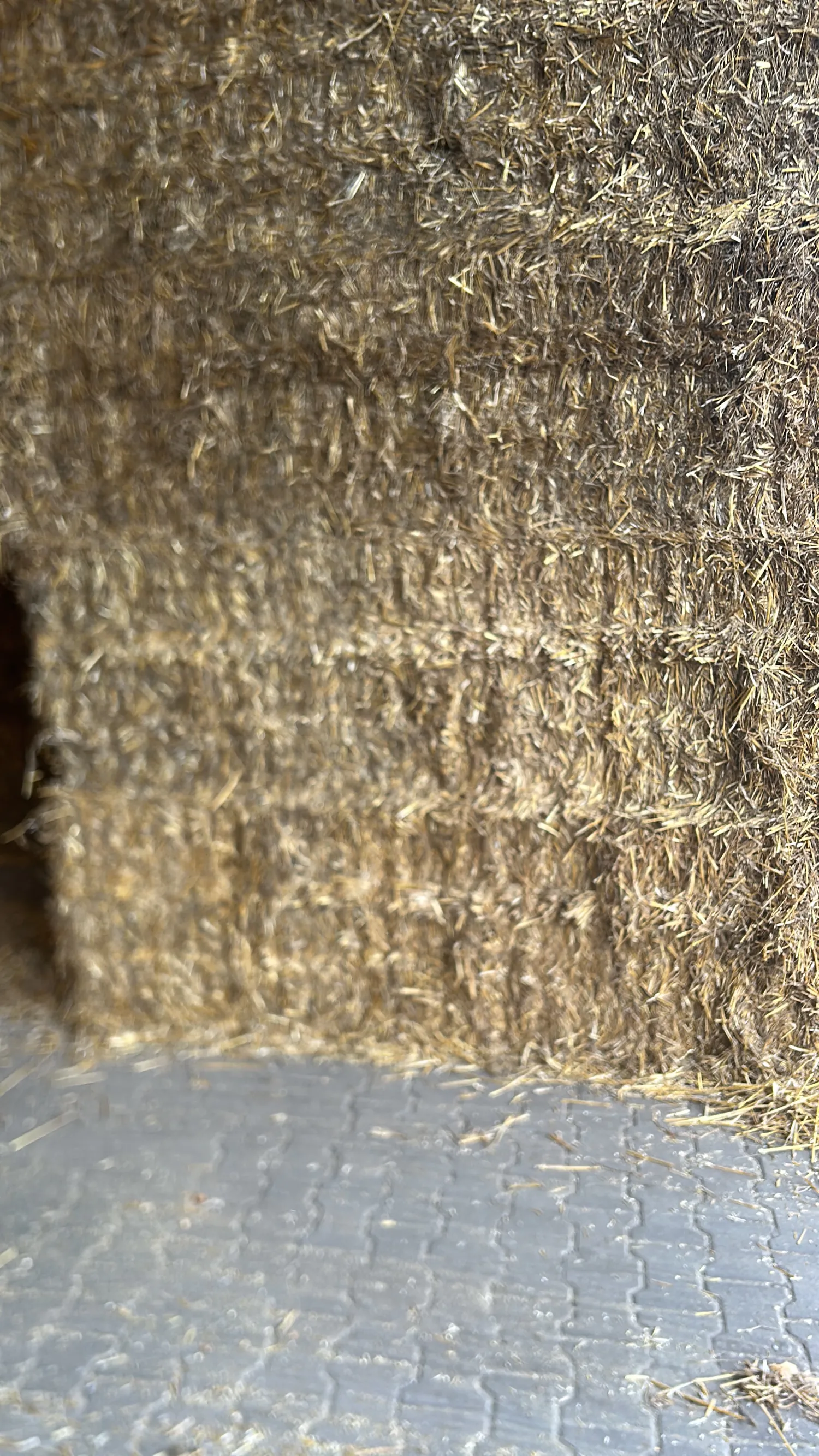 Tarwestro te koop - Hoge kwaliteit, 70x1,2x2,4