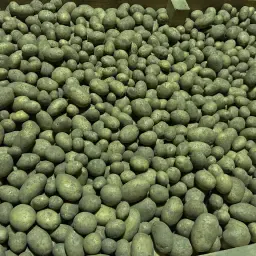 https://cdn.farmtrade.nl/media/164315/conversions/5Y5AGy-thumbnail.webp