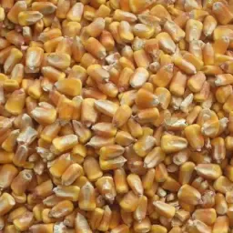 https://cdn.farmtrade.nl/media/164351/conversions/OXhb3k-thumbnail.webp