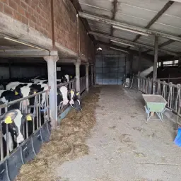 https://cdn.farmtrade.nl/media/164492/conversions/Wx8qE4-thumbnail.webp