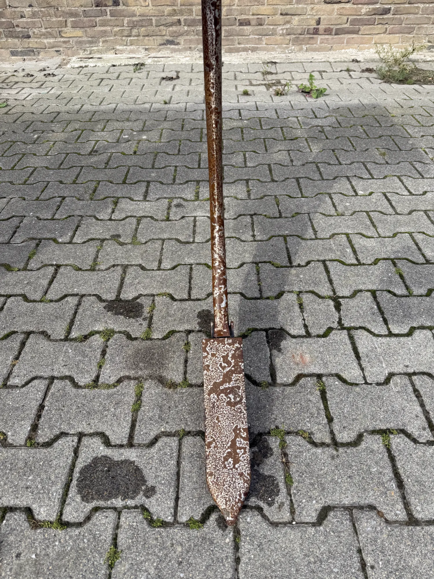 Głębosz - 3 zęby, regulowany rozstaw zębów