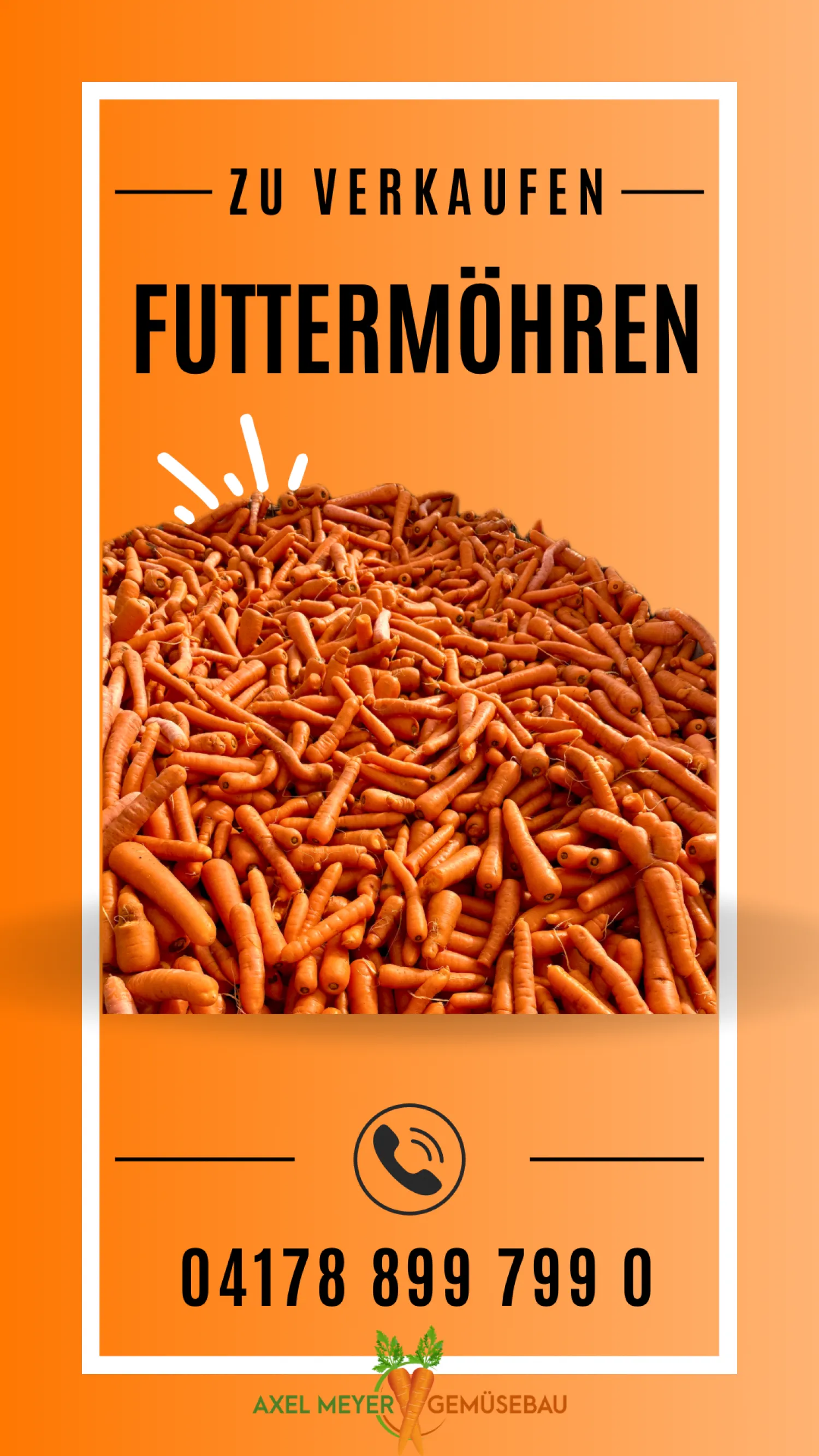 Voederwortelen: 20kg Netten, Pallet, Los Gestort