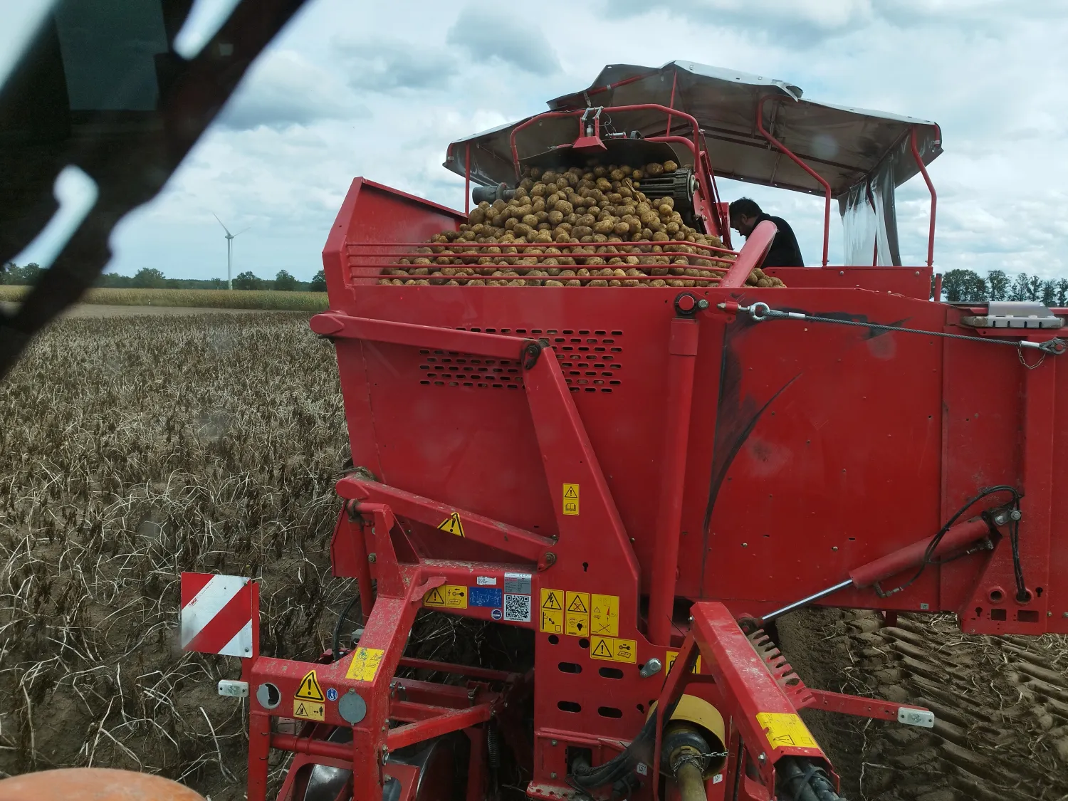 Pommes de terre à vendre, région d'Eldena, Allemagne