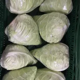 https://cdn.farmtrade.nl/media/164940/conversions/Akd8iu-thumbnail.webp