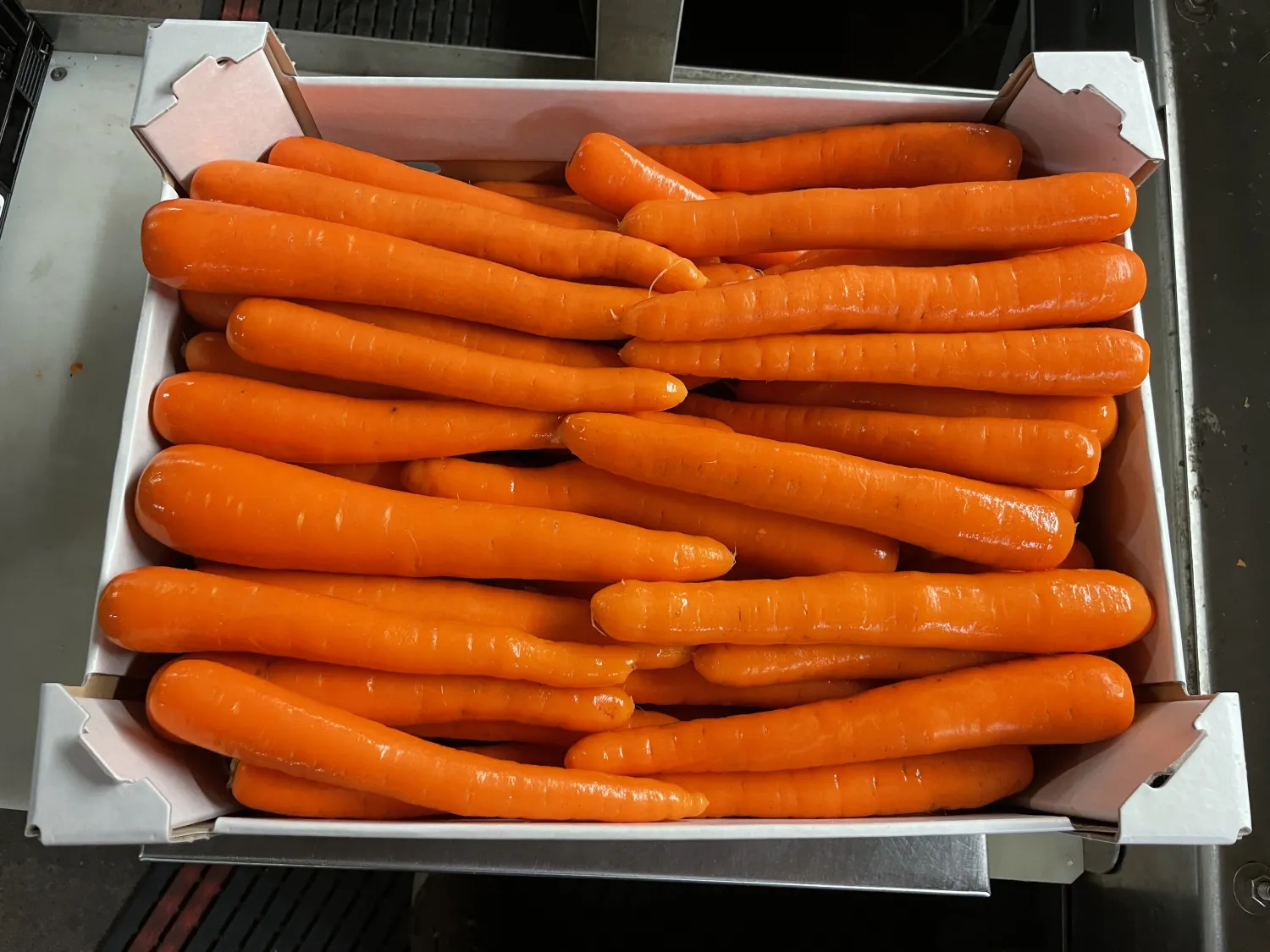 Verse wortelen naar wens verpakt | Los, in tray of zak