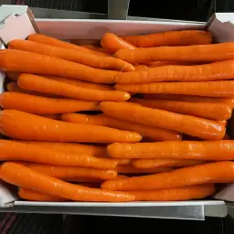 Verse wortelen naar wens verpakt | Los, in tray of zak