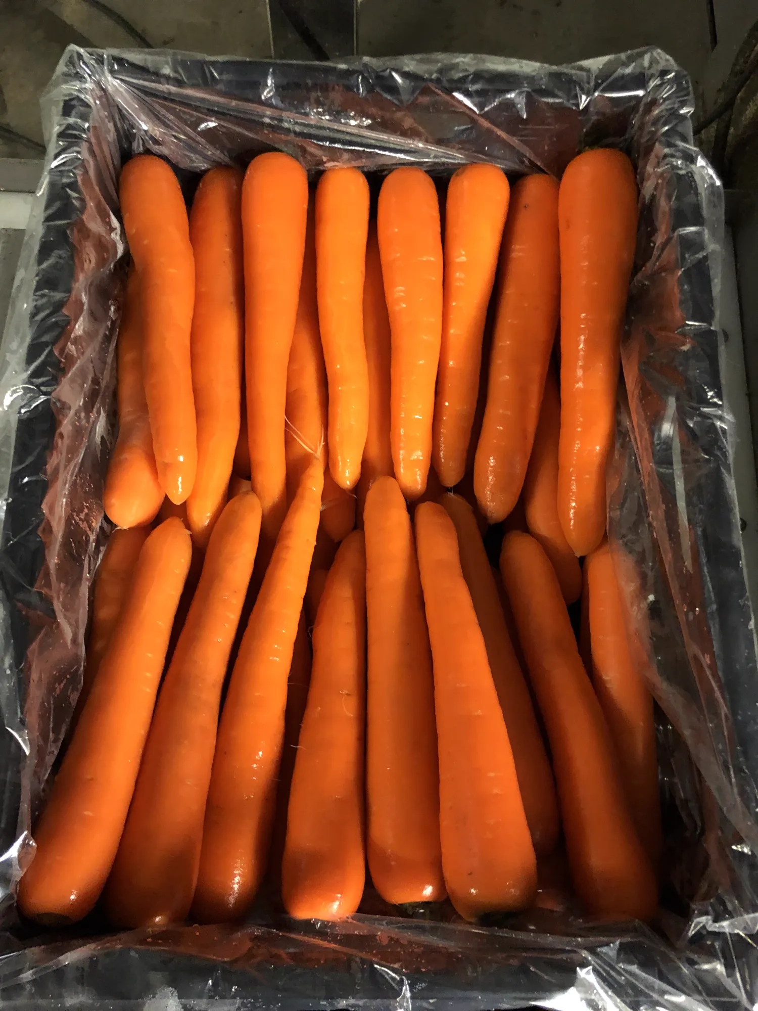 Verse wortelen naar wens verpakt | Los, in tray of zak