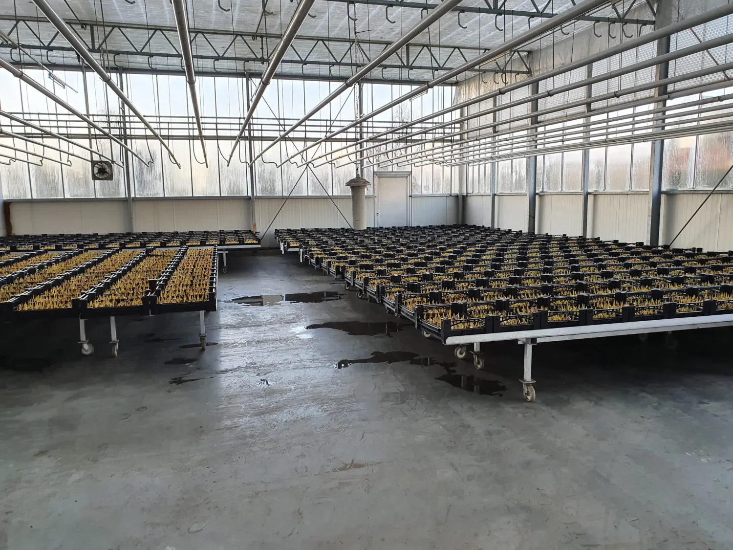 Broeierijsysteem Smit - Aluminium Easy Carriers 600x120cm