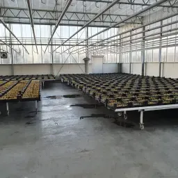 https://cdn.farmtrade.nl/media/165180/conversions/R1ANUt-thumbnail.webp