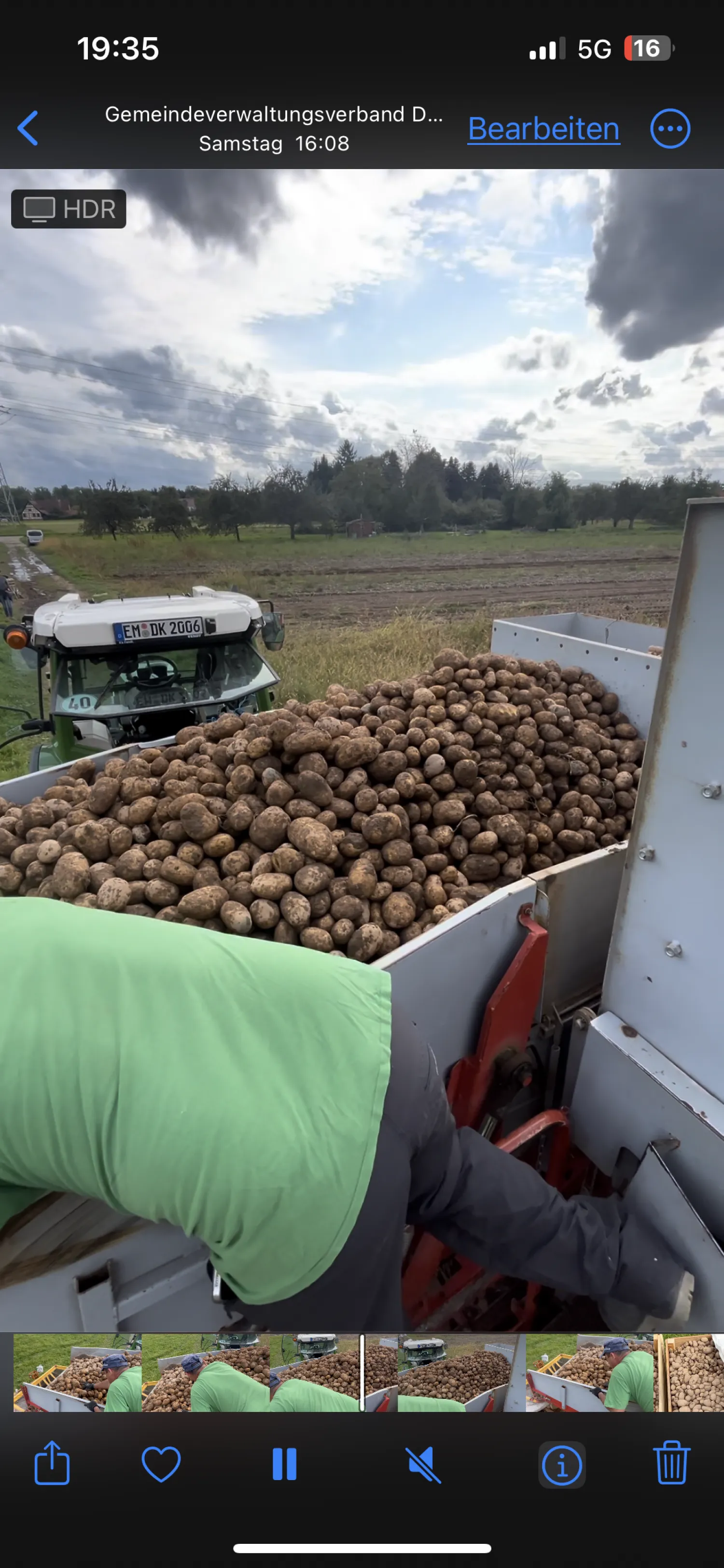 Aardappelen Belana kopen - Top kwaliteit
