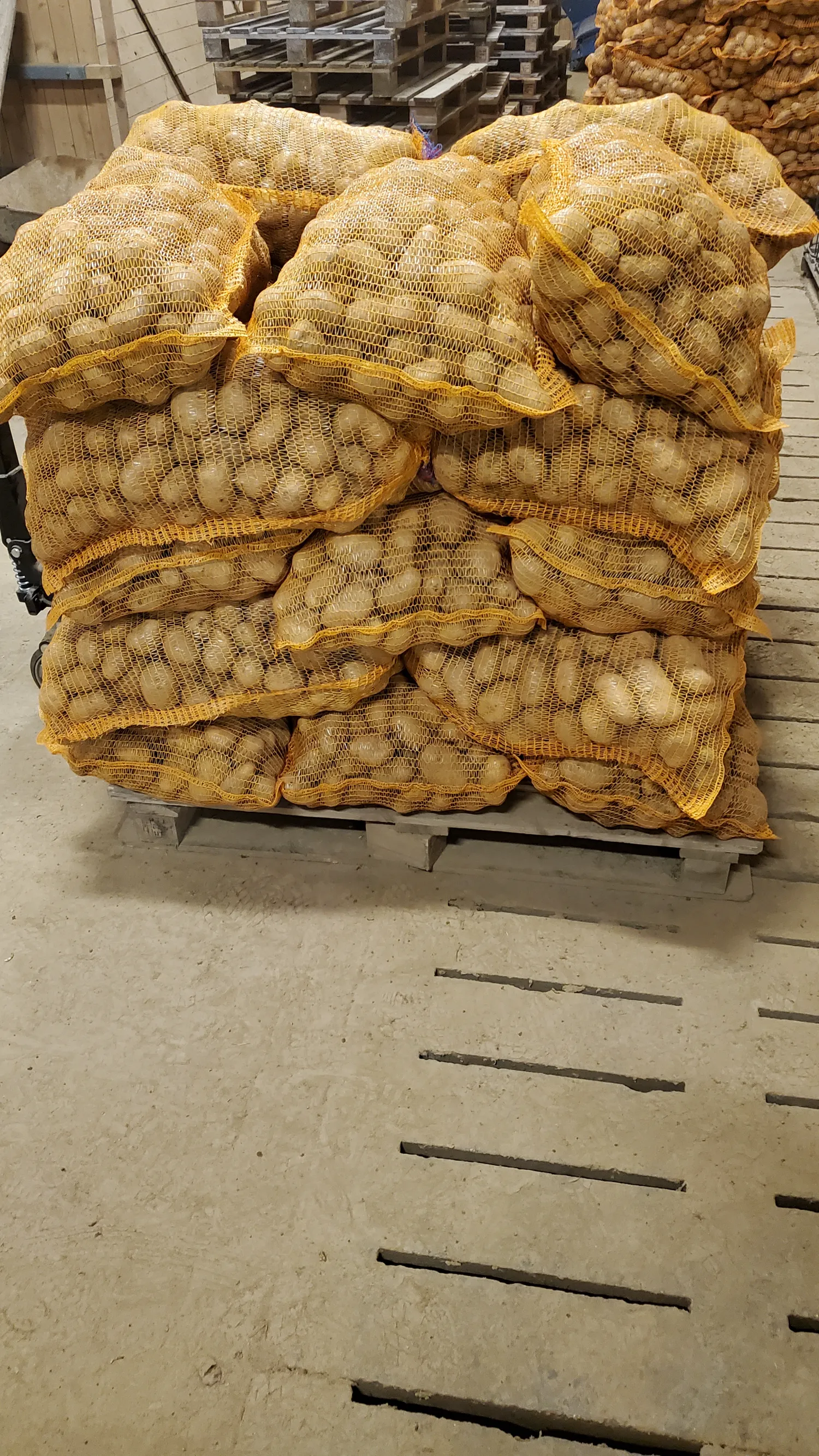 Zachtkokende Agria Aardappelen in zakken | Hoge Kwaliteit
