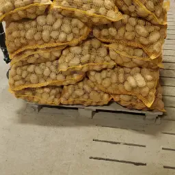 Zachtkokende Agria Aardappelen in zakken | Hoge Kwaliteit