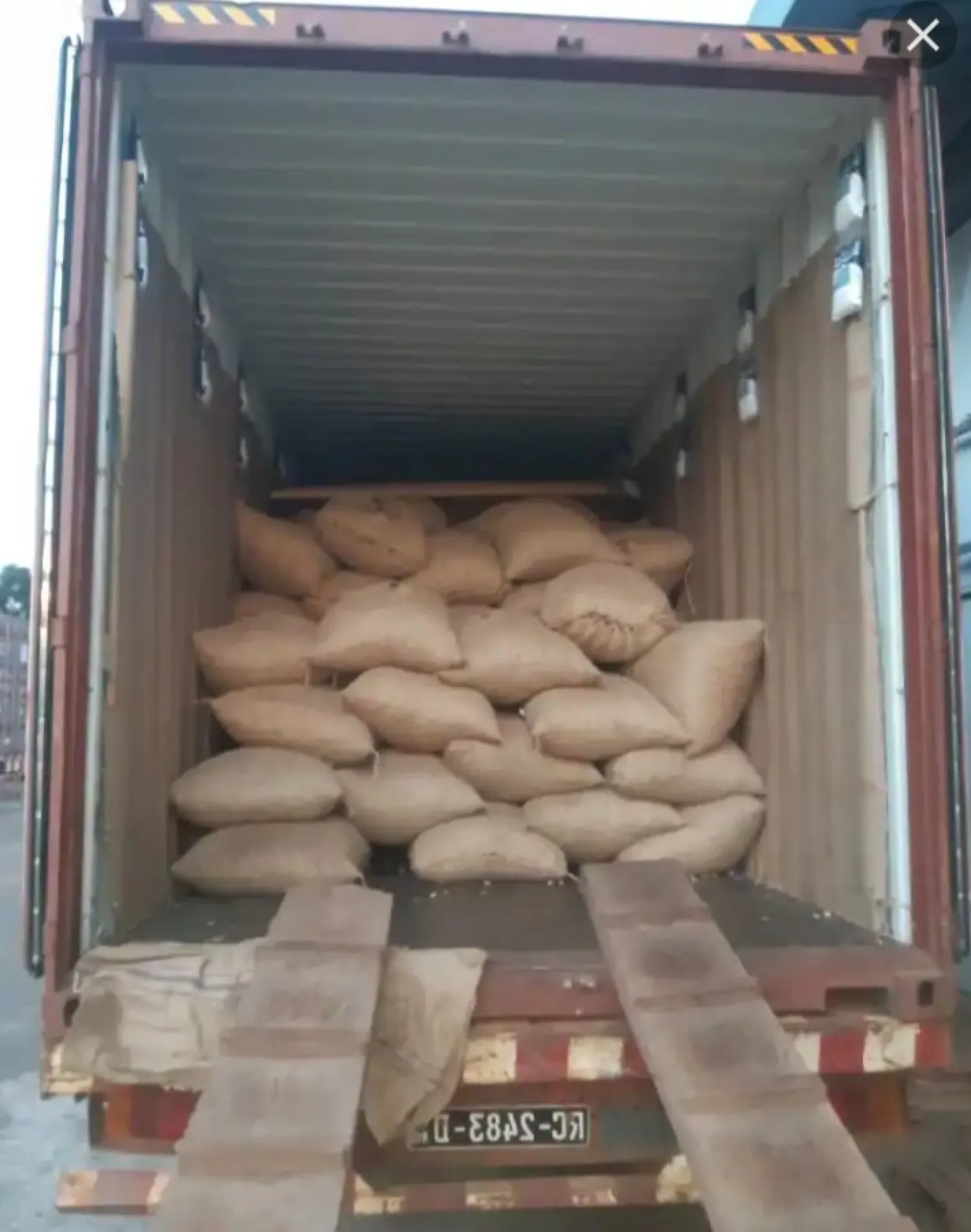 Anacardos crudos de alta calidad | Sacos de 80 kg