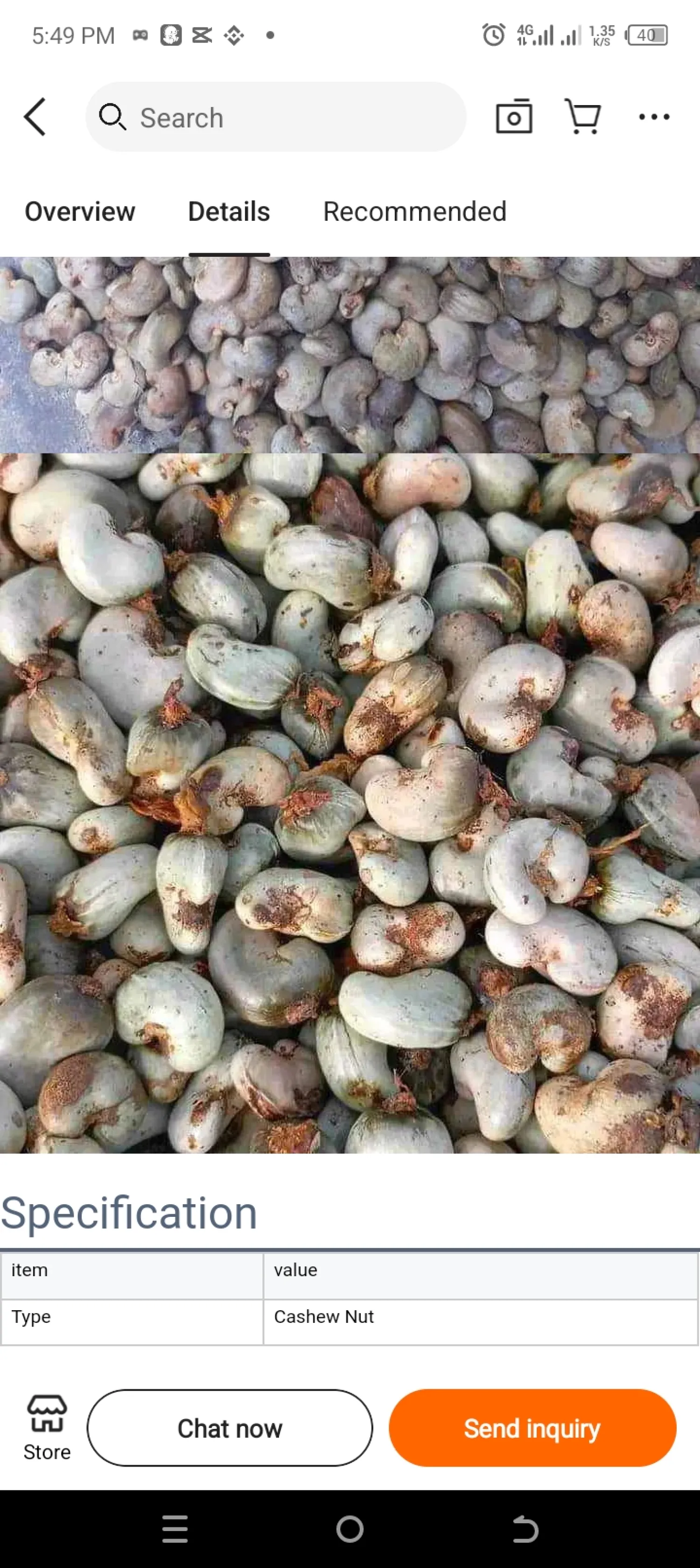 Anacardos crudos de alta calidad | Sacos de 80 kg