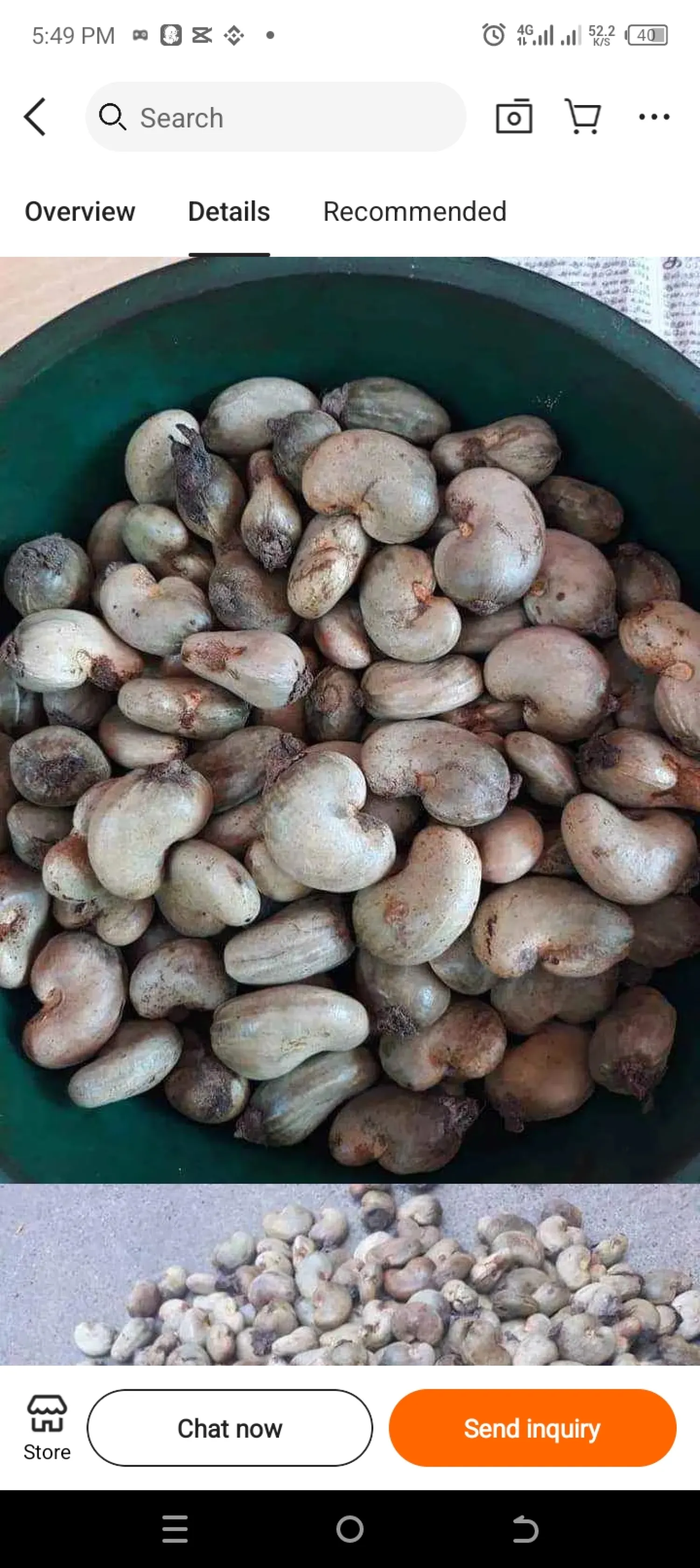 Anacardos crudos de alta calidad | Sacos de 80 kg