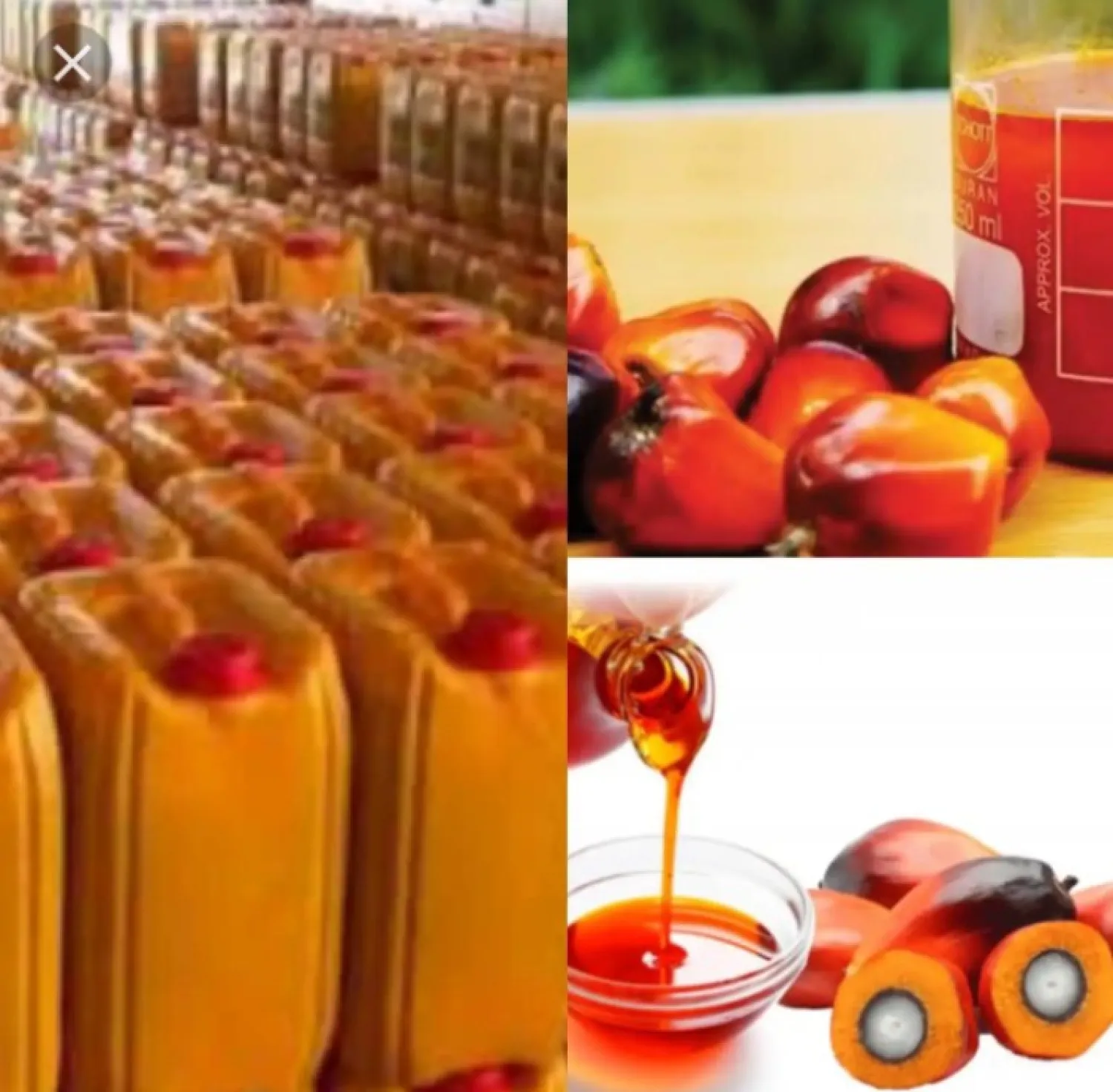 Aceite de palma rojo procesado de alta calidad, latas de 25 kg