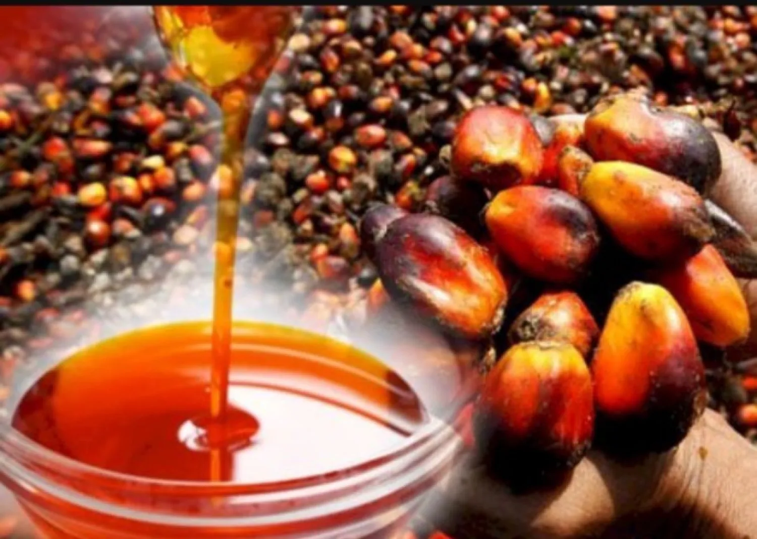 Aceite de palma rojo procesado de alta calidad, latas de 25 kg