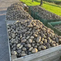 https://cdn.farmtrade.nl/media/165426/conversions/BwlJA2-thumbnail.webp