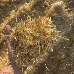 Stro Hakselbalen kopen | Gerst & Tarwe Oogst 2025