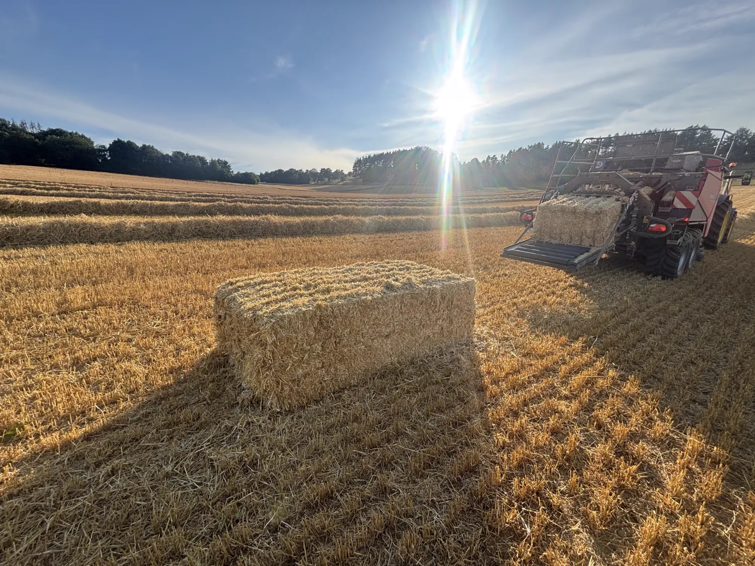 Stro Hakselbalen kopen | Gerst & Tarwe Oogst 2025