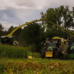 Versnipperen, Transport & Verdichten | Landbouwdiensten