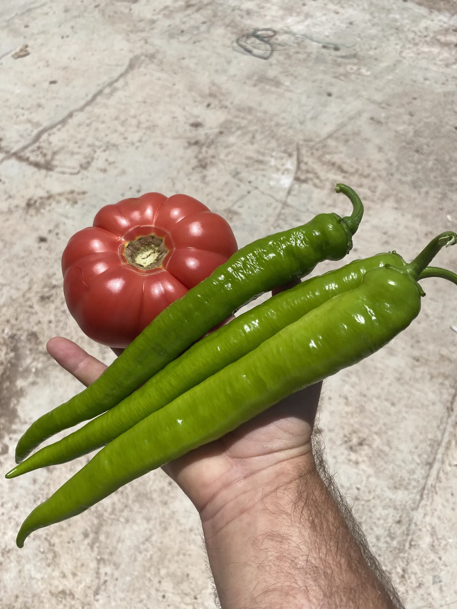 Kasafdekkingen, kunststof & meer in Antalya