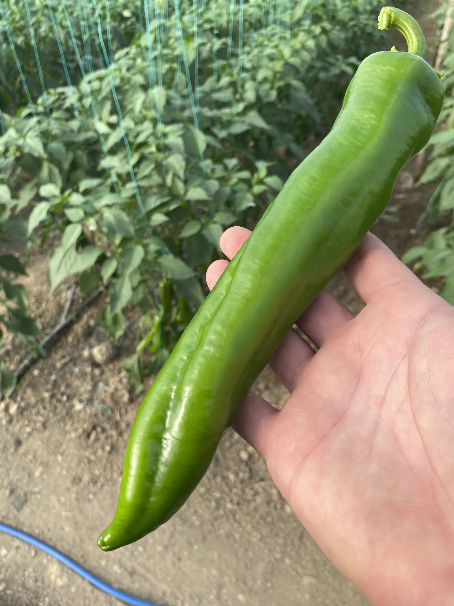 Kasafdekkingen, kunststof & meer in Antalya