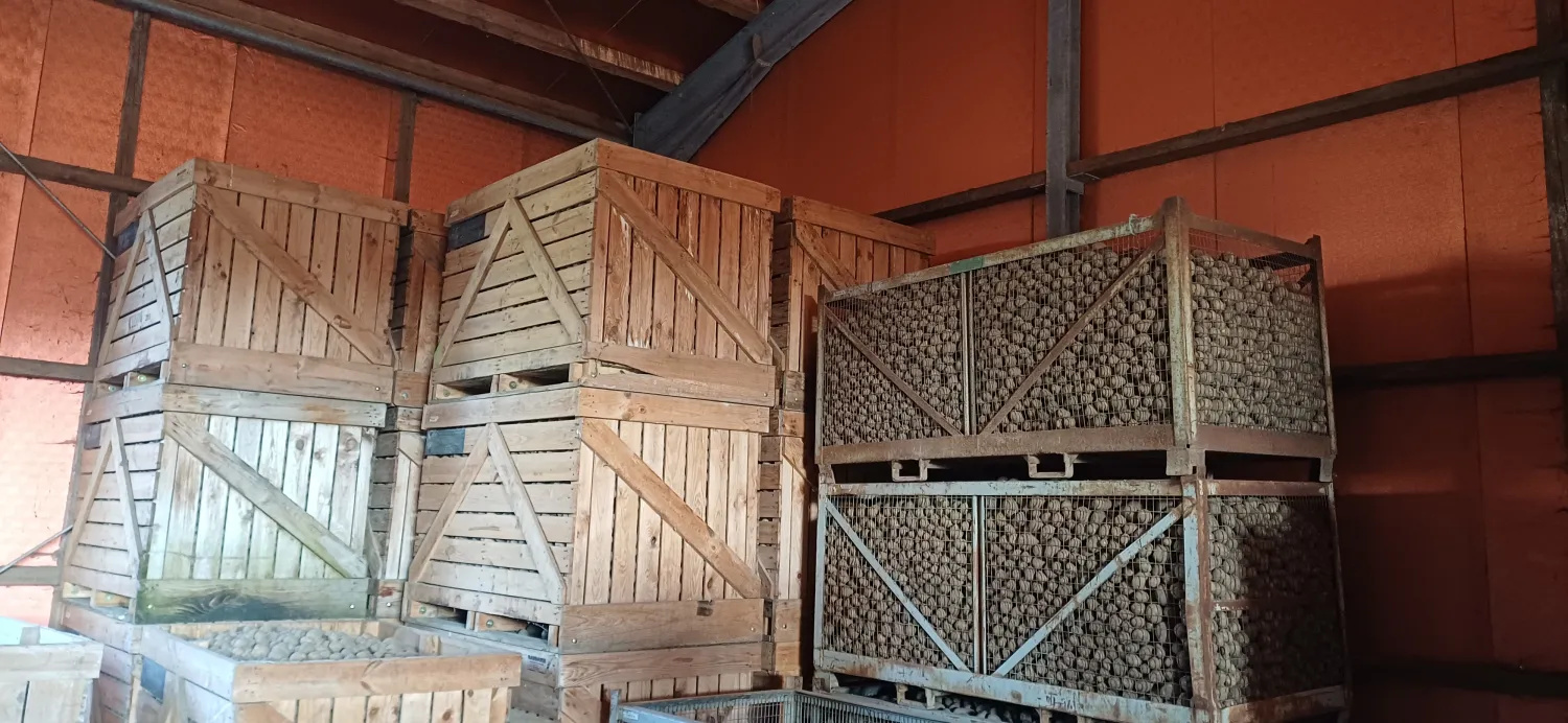 Aardappelkisten 1,5 ton gezocht (150-200 stuks)