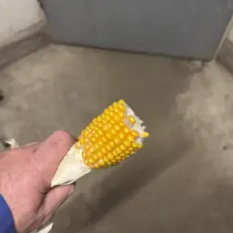 https://cdn.farmtrade.nl/media/166890/conversions/8ZXi6x-thumbnail.webp