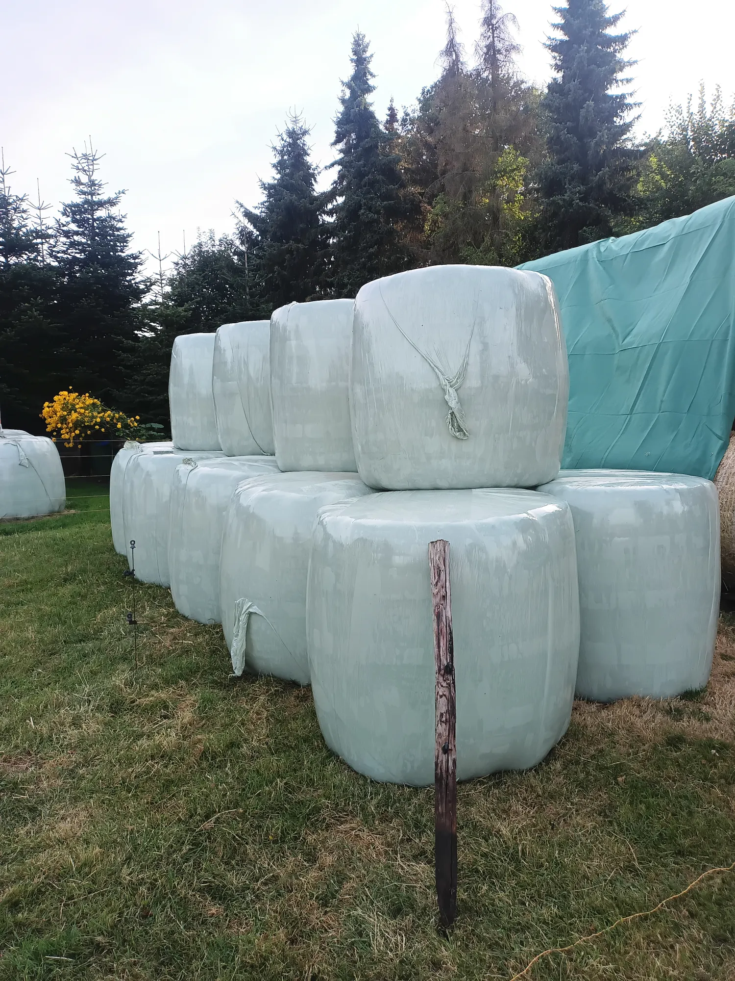 Heulageballen zu verkaufen, 1,35m Durchmesser, Top Qualität
