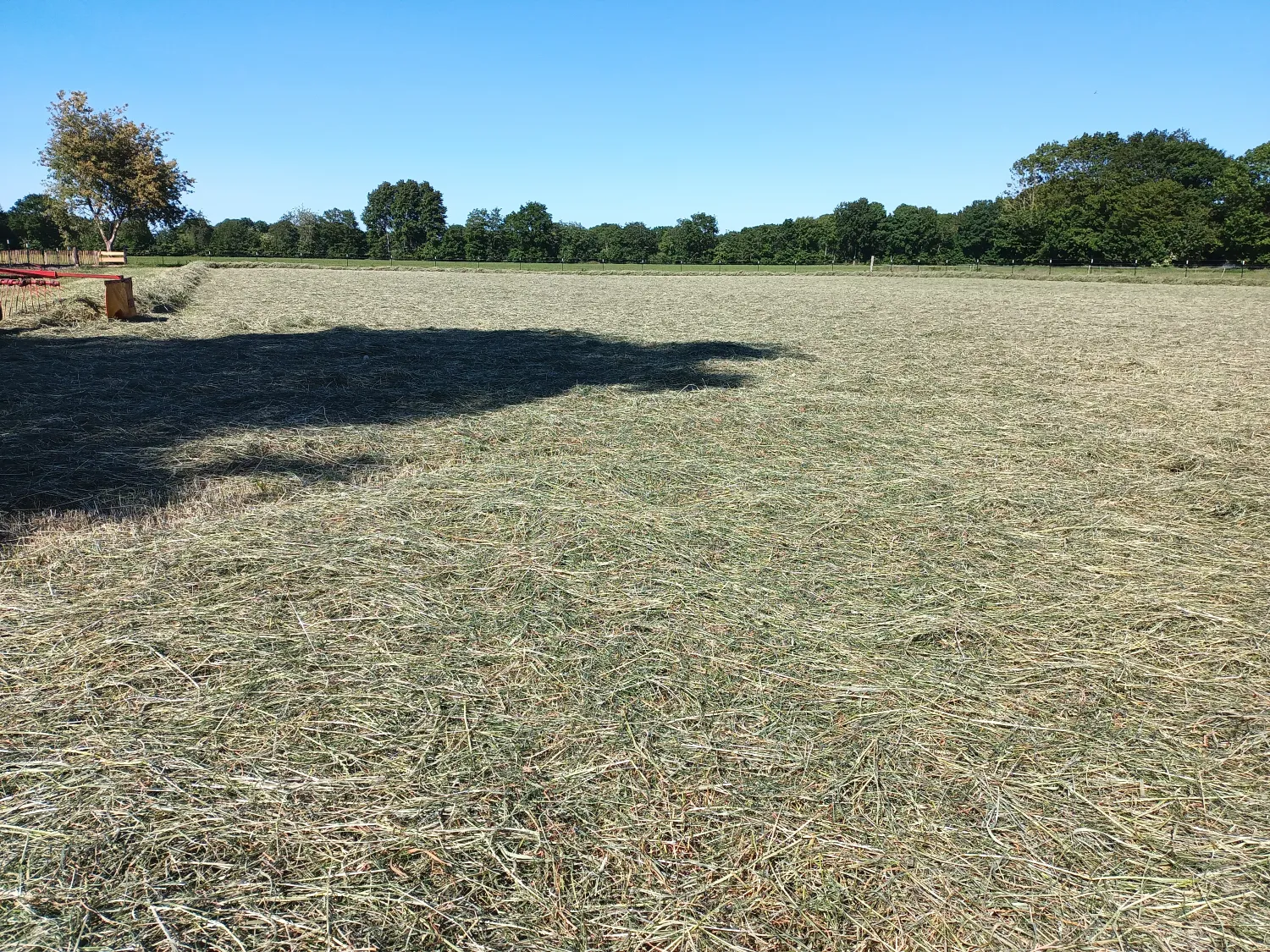 Heulageballen zu verkaufen, 1,35m Durchmesser, Top Qualität