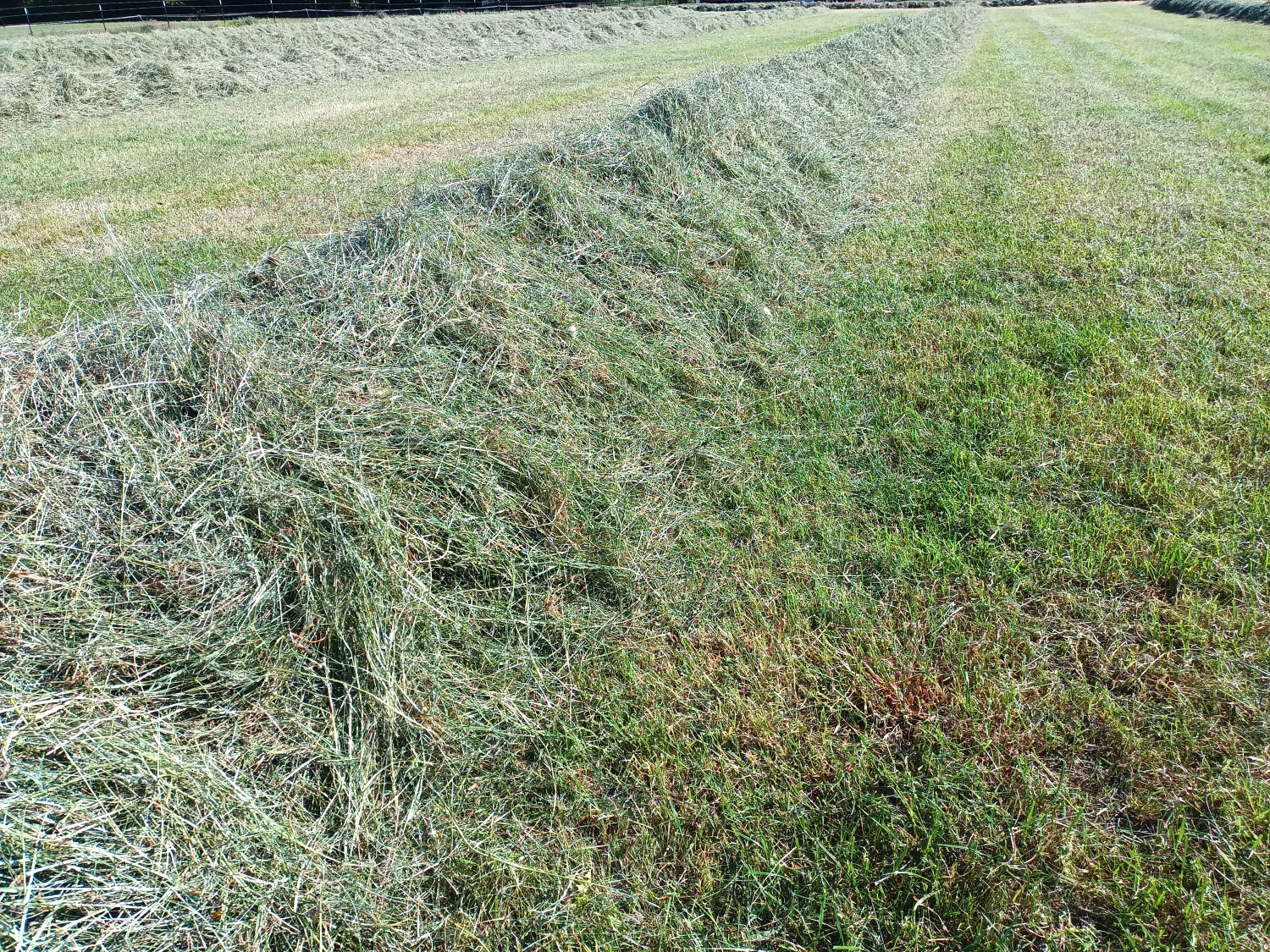 Heulageballen zu verkaufen, 1,35m Durchmesser, Top Qualität