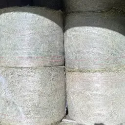 Hooi Ronde Balen, Oogst 25 - Ideaal voor Paarden