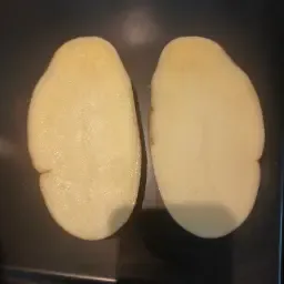 Cartofi Innovator de vânzare, 200 T, tratați MH