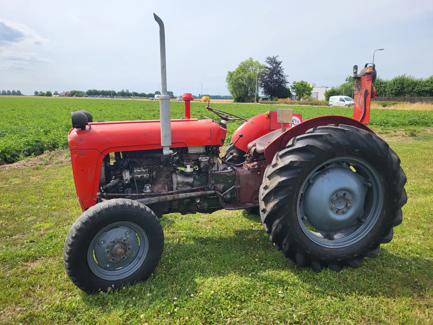 Massey Ferguson 35 te koop - Goedwerkende tractor