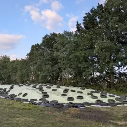 Ensilaje de hierba a la venta: Picado, longitud de corte 10mm