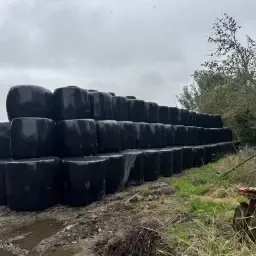 https://cdn.farmtrade.nl/media/167568/conversions/JizfkQ-thumbnail.webp