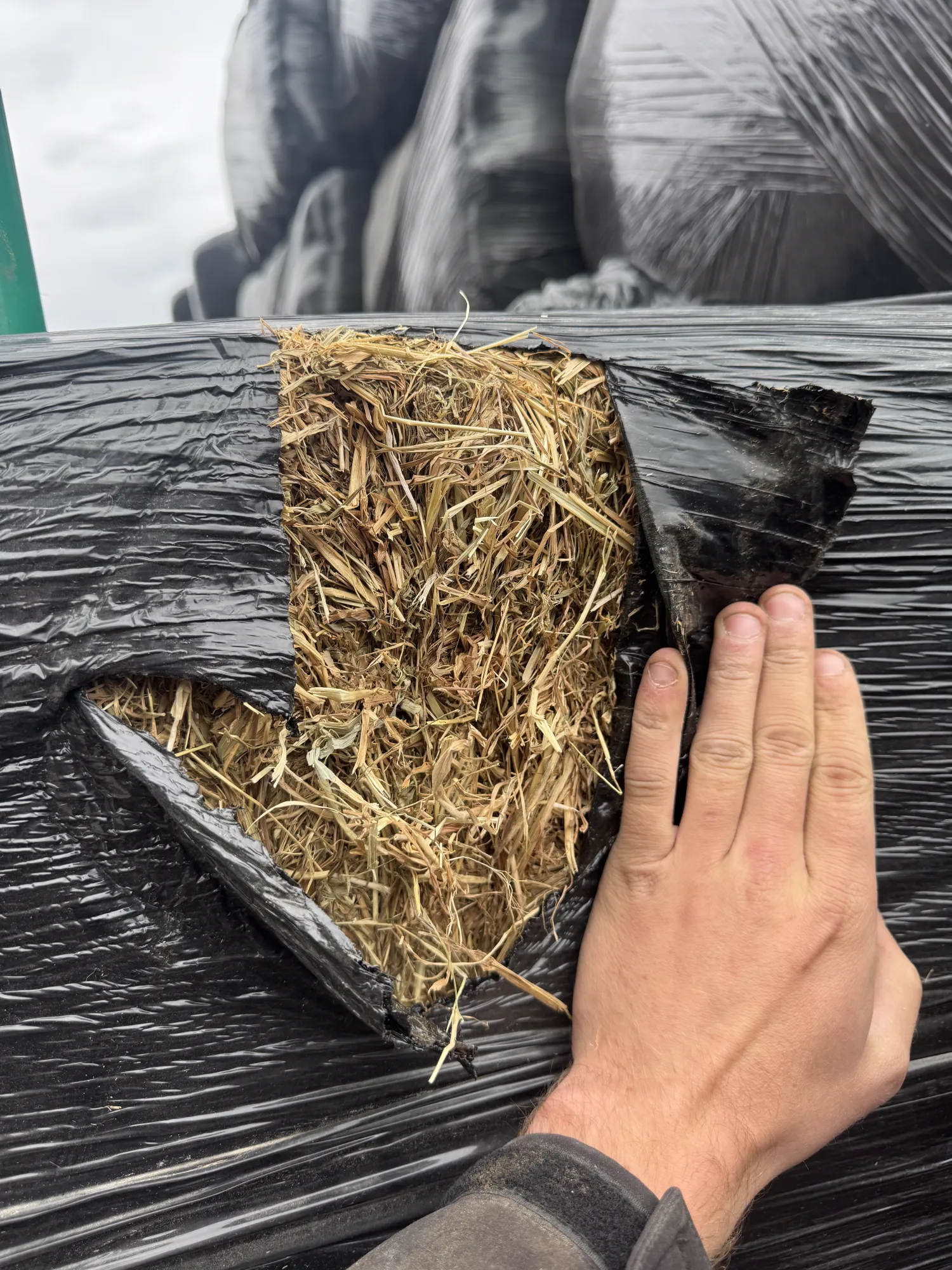 Kuilgras en Hooi te Koop | Natuurland, Balen