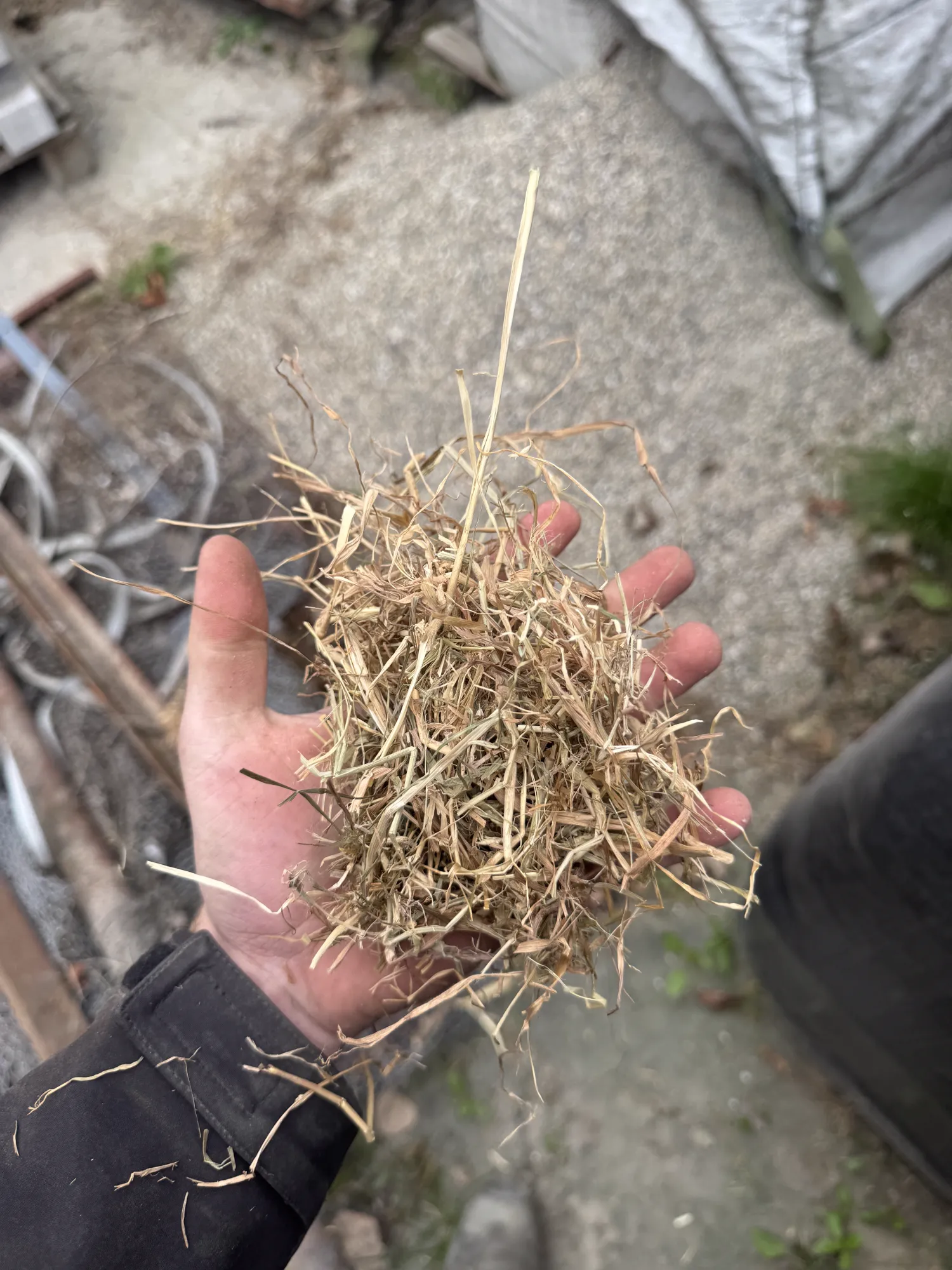 Kuilgras en Hooi te Koop | Natuurland, Balen