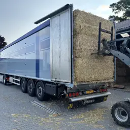 Paie de grâu și orz direct | Calitate superioară