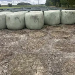 Græs- og kløverensilage rundballer, 150 cm diameter