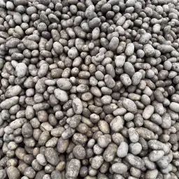 https://cdn.farmtrade.nl/media/167826/conversions/ipGtXx-thumbnail.webp