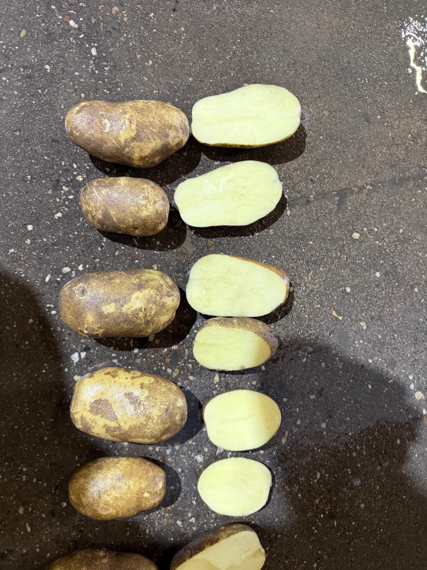 Grove Innovator aardappelen, 300 ton beschikbaar