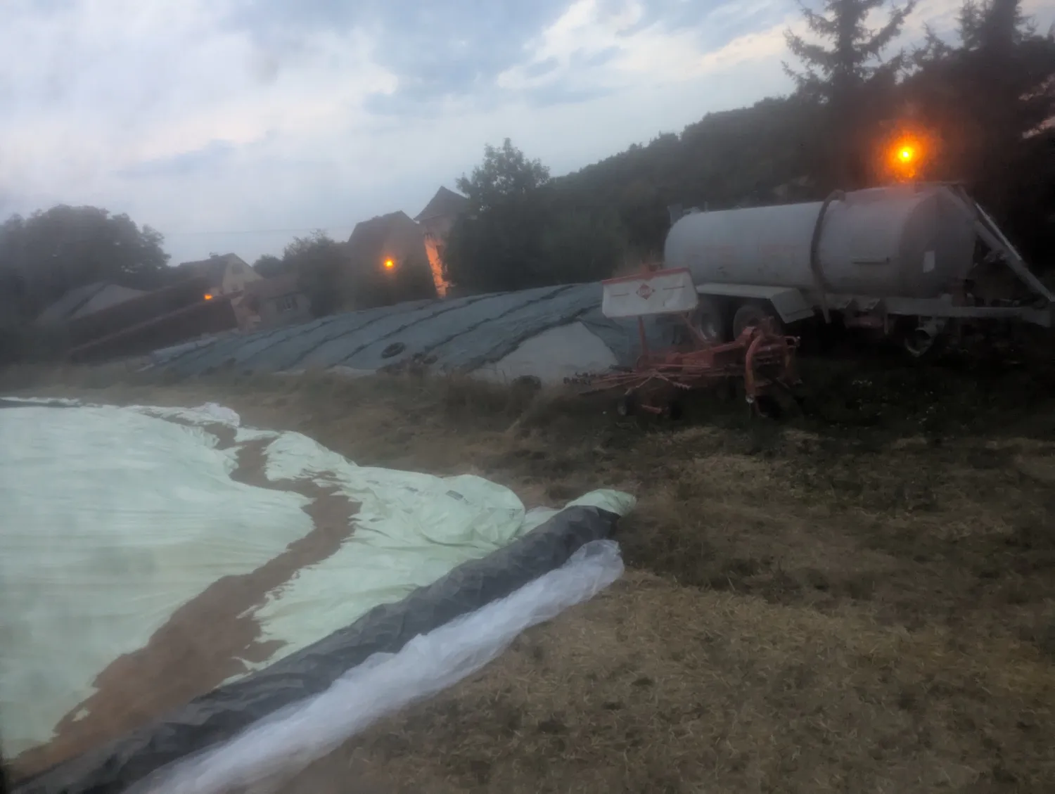 Sandwich-ensilage til salg: Majs- og græs-ensilage (2024)